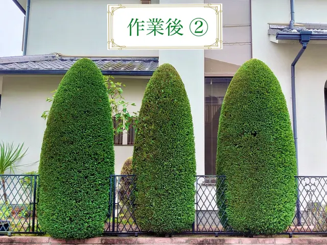 『必ず美しく剪定させて頂きます。』サービスの画像