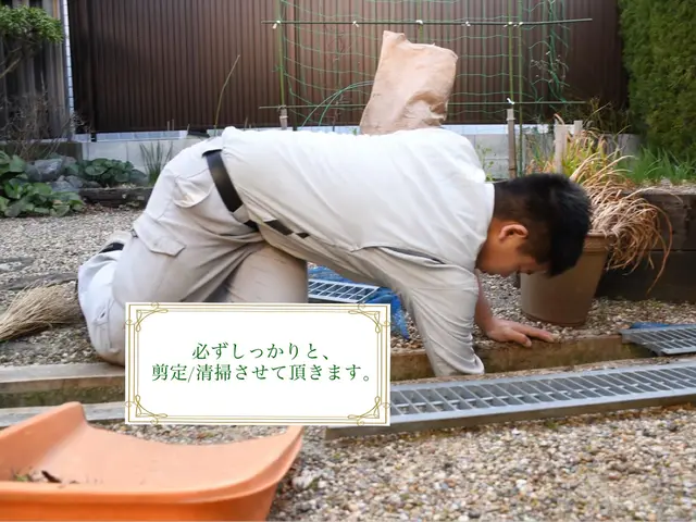 『必ず美しく剪定させて頂きます。』サービスの画像