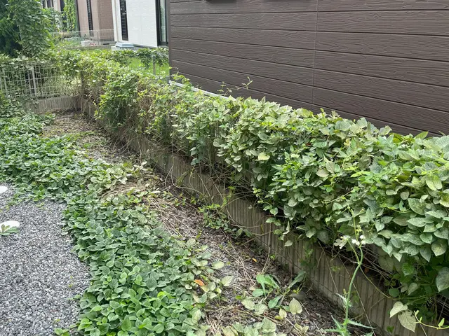 【空きあり】満枠表示中ですが、対応可能な日程ございます。お気軽にご相談ください。サービスの画像