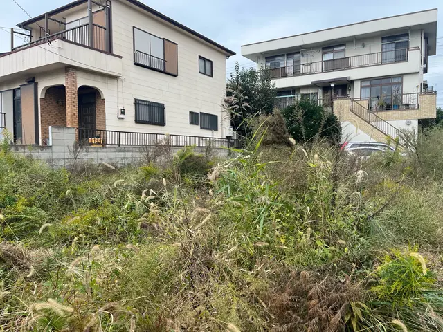 【丁寧な手作業】根っこから抜くから長持ち！空き状況はお気軽にご相談下さいサービスの画像