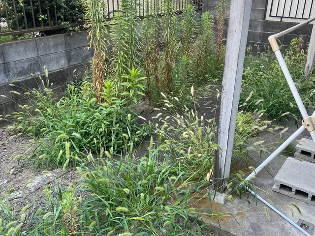 【空きあり】満枠表示中ですが、対応可能な日程ございます。お気軽にご相談ください。サービスの画像