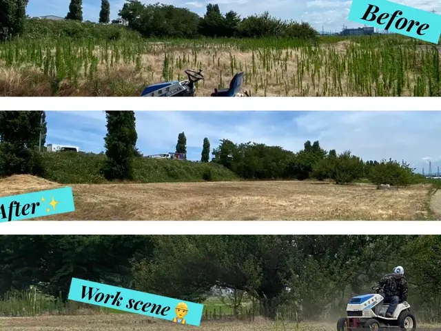 令和7年8月出店◎地域密着50年！ご家族みんなが安心できるように【新潟市発】サービスの画像