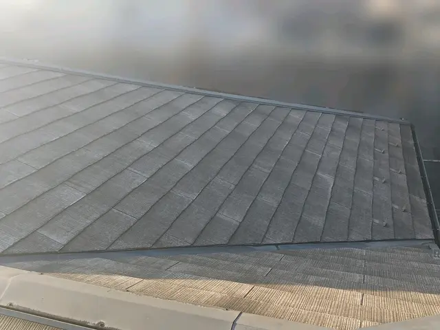 【1級塗装技能士が施工】損害保険加入済み◉大手での作業経験アリ！油性塗料作業サービスの画像