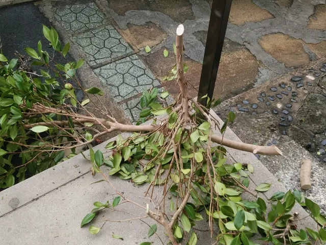 奈良県からお伺い★ご家庭のお困りごと救急隊★損害保険加入★納得いくまで徹底仕上げサービスの画像