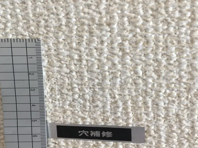 リフォーム業界関係者が選ぶ壁紙リフォーム№１のクロスメイク・正規代理店サービスの画像