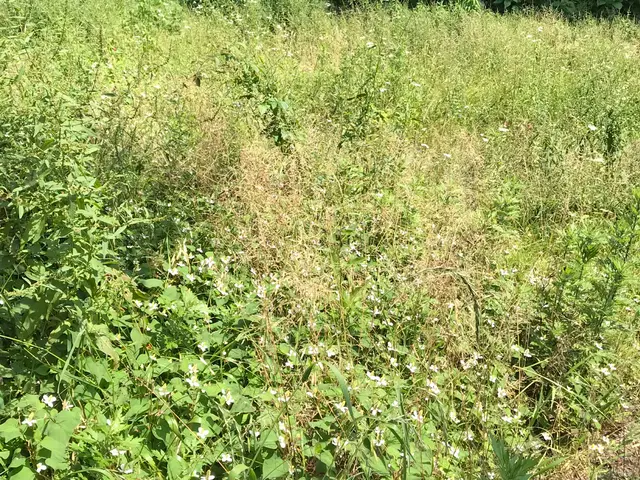 【年中無休】アパート・別荘の年間管理のご相談も承ります。サービスの画像