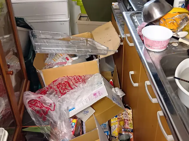 フルタイムワーママや片付け苦手な方のお手伝いします。快適なお家を！サービスの画像