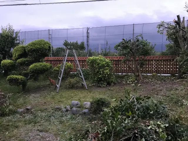 丁寧に説明し仕上がりまで責任を持って対応しますサービスの画像