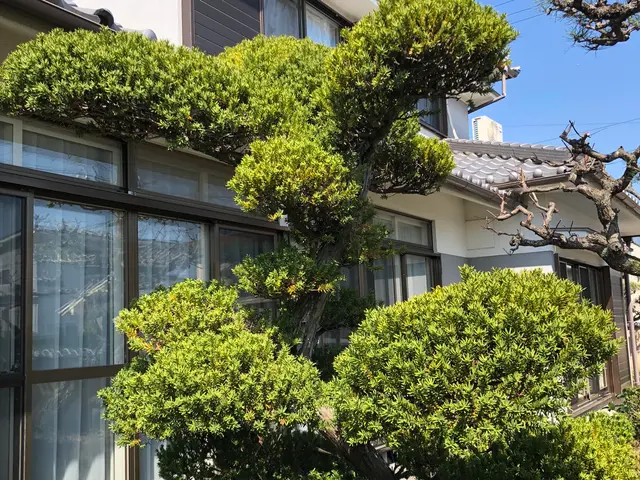 剪定、草刈り、草引き　一本からでもお断りしません！サービスの画像