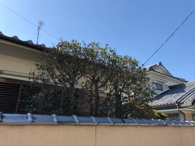 剪定、草刈り、草引き　一本からでもお断りしません！サービスの画像