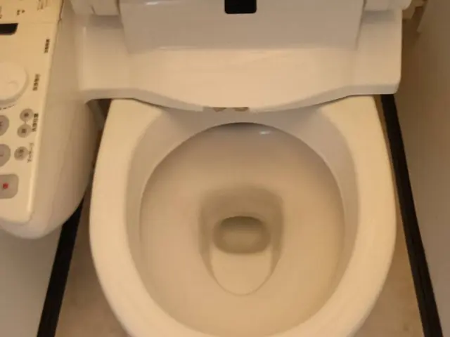 トイレクリーニングサービスの画像