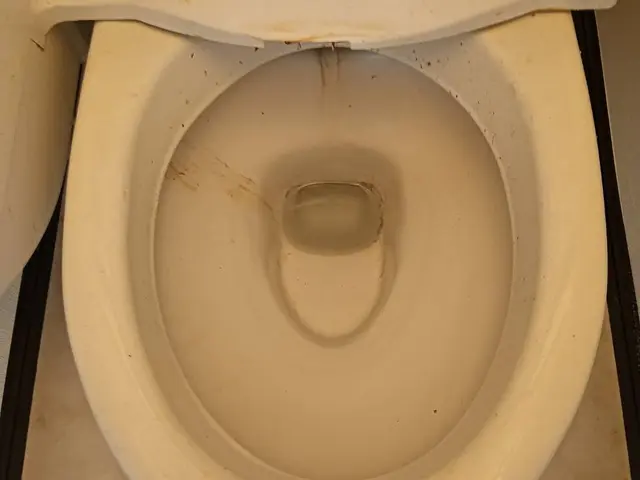 トイレクリーニングサービスの画像