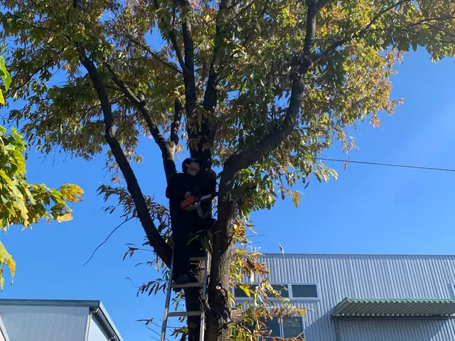 女性スタッフ対応可能◎安心・快適な庭木伐採サービスサービスの画像