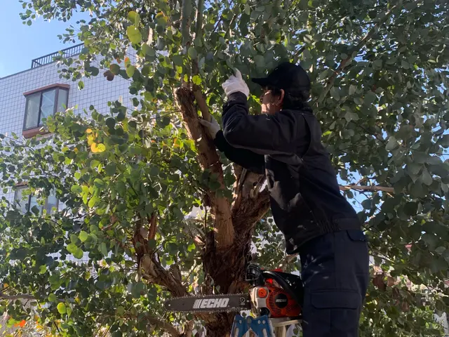 女性スタッフ対応可能◎安心・快適な庭木伐採サービスサービスの画像