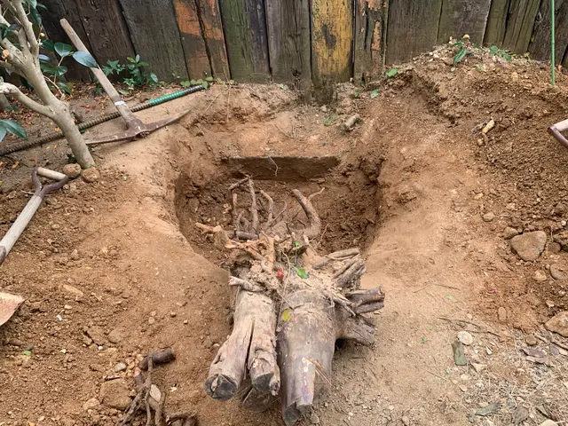 女性スタッフ対応可能◎安心・快適な庭木伐採サービスサービスの画像