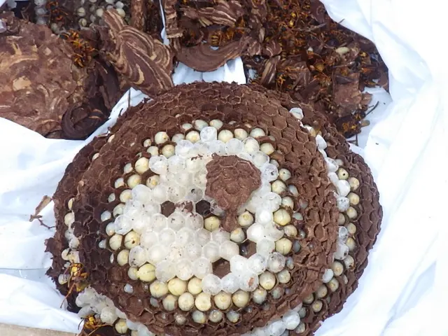 【丁寧・誠実な対応をお約束】時間・ご要望に合わせ対応◎サービスの画像