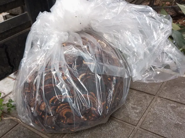 可能な限り急ぎで対応いたしますサービスの画像