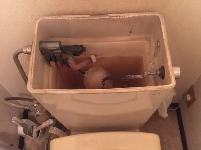 【月1000件の作業実績あり！】クレカ払いOK◎損害保険に加入しております◎サービスの画像