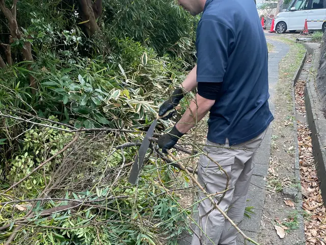 お庭の草むしりとセットでも対応可能！理想の環境作りをお手伝いいたします！サービスの画像