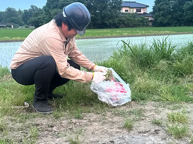 綺麗さと手際のよさを追求！草刈り即日対応サービスサービスの画像