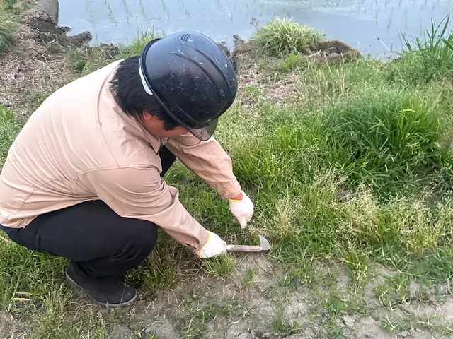 綺麗さと手際のよさを追求！草刈り即日対応サービスサービスの画像