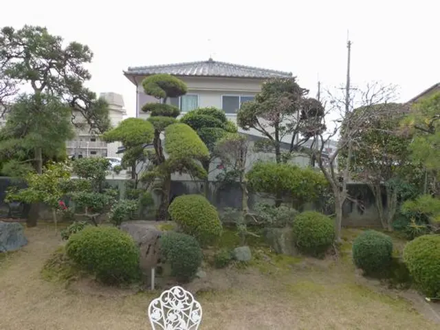 【お庭の管理全般】☆庭園管理士☆業歴19年☆迅速丁寧☆空家・空地も☆クレジット可サービスの画像