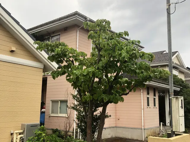 営業時間外のご相談も受付可能です！サービスの画像