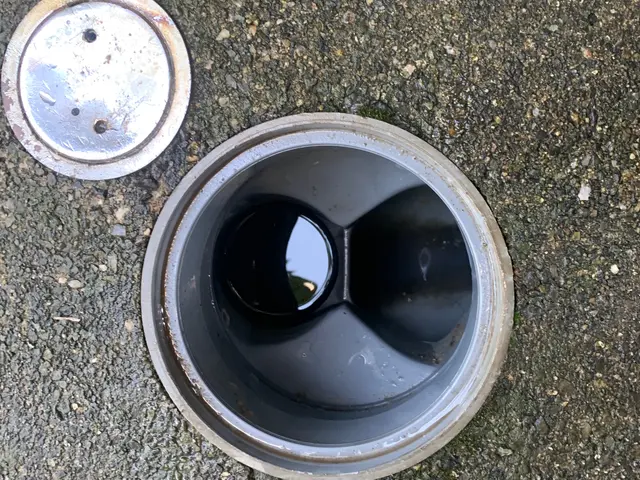 11/2.3.7日限定！◆限定特価¥25000→¥22000円◆早めのご予約を！サービスの画像