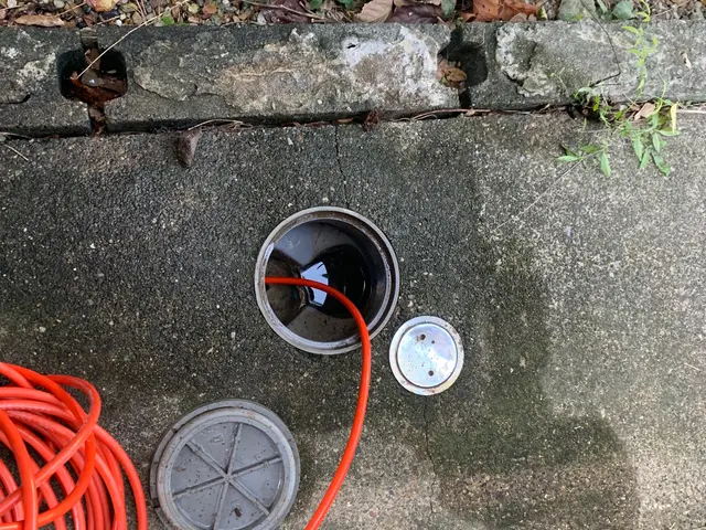 11/2.3.7日限定！◆限定特価¥25000→¥22000円◆早めのご予約を！サービスの画像