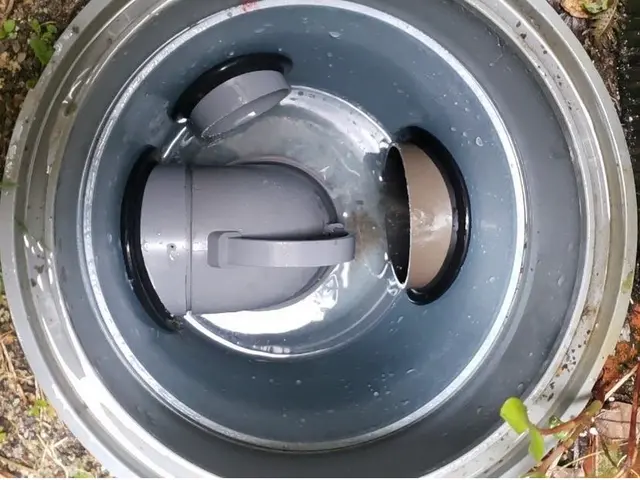 11/2.3.7日限定！◆限定特価¥25000→¥22000円◆早めのご予約を！サービスの画像