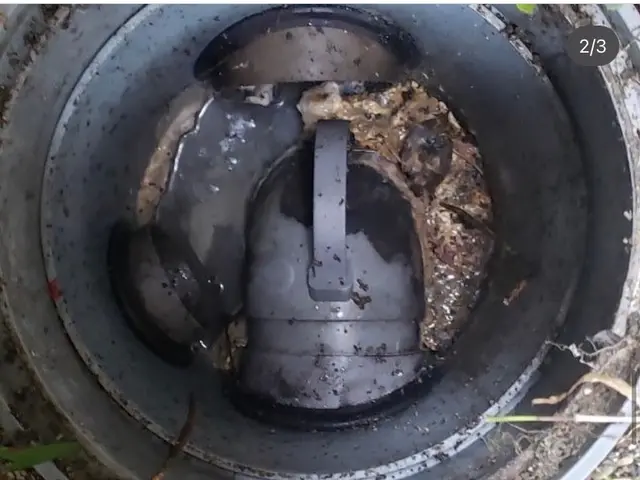 11/2.3.7日限定！◆限定特価¥25000→¥22000円◆早めのご予約を！サービスの画像