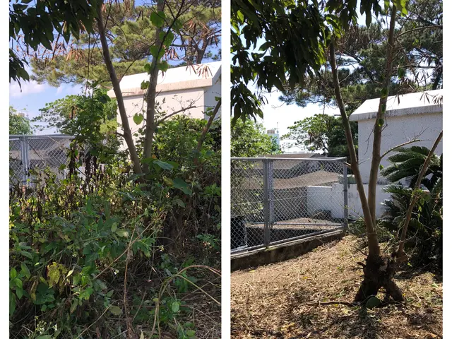 年中無休で営業中☆一つ一つの現場を大切に、徹底的に丁寧に仕上げます。サービスの画像