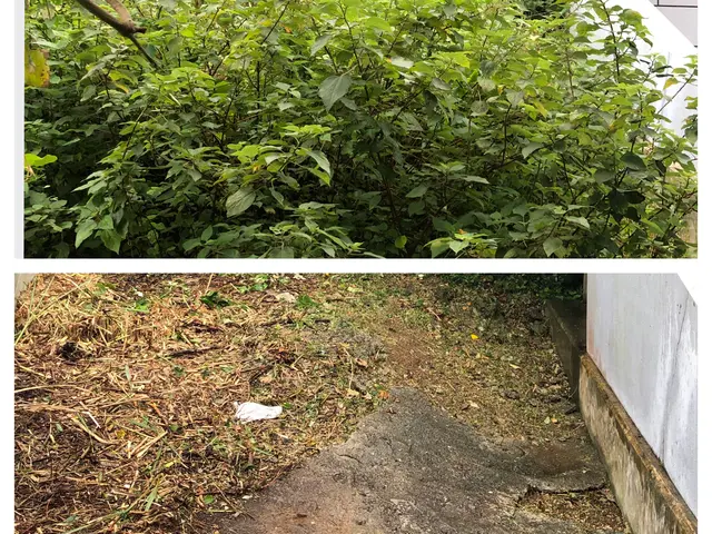 年中無休で営業中☆一つ一つの現場を大切に、徹底的に丁寧に仕上げます。サービスの画像