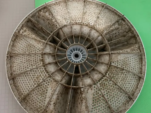 ◎洗濯槽にこびりついたカビを一網打尽◎臭いや汚れが気になるならおまかせください！サービスの画像