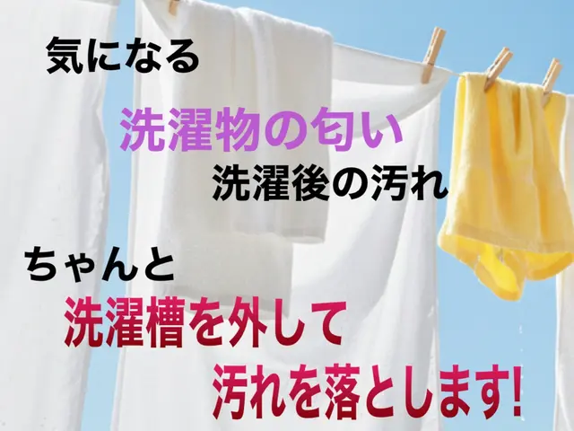 【店長訪問】床の養生から仕上がり確認まで安心の縦型洗濯機クリーニングサービスの画像