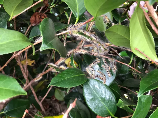 【作業外注一切なし！】お客様の立場になって丁寧に作業します！サービスの画像