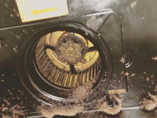 夫婦２人でお伺い。お掃除のお悩みもお聞きします(*^^*)サービスの画像