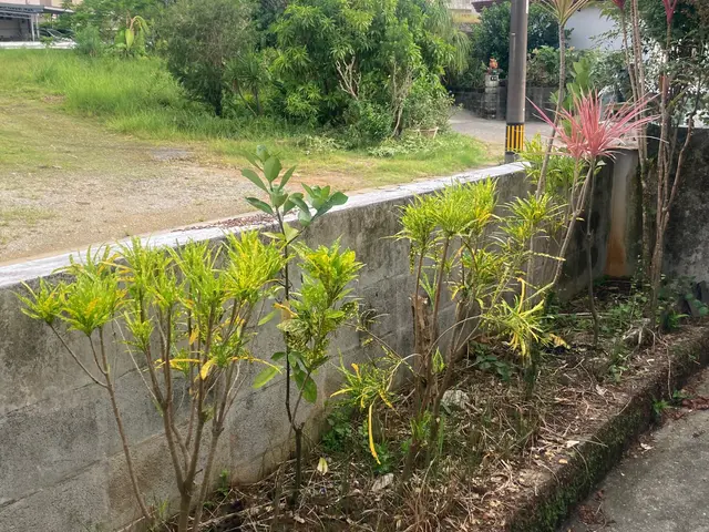 ◆年中無休◆◆自信の完全自社施工◆仕上がり保証ありサービスの画像