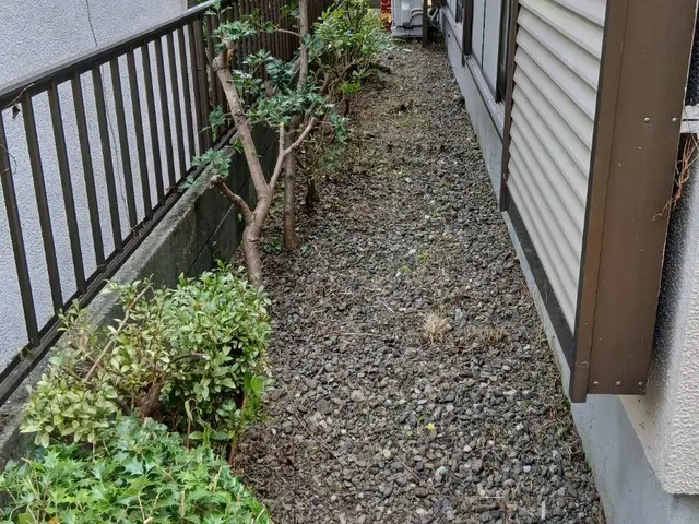 雑草があると風通しも悪いし、害虫もきます。草を切ってスッキリしましょう！サービスの画像