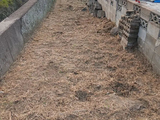 雑草があると風通しも悪いし、害虫もきます。草を切ってスッキリしましょう！サービスの画像