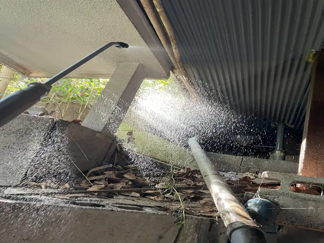 【日本防除品質管理機構 - 優良事業者認定店】が手掛けるカメムシ駆除!!サービスの画像