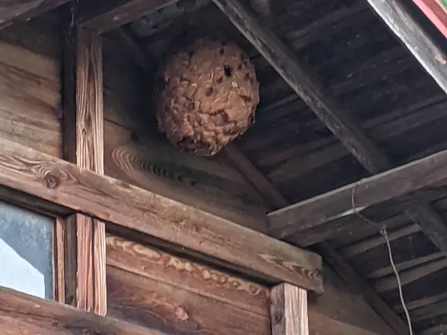 防除作業監督者がいる当店におまかせください！最短当日対応可能です！サービスの画像