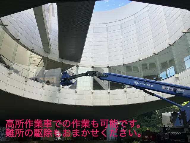 【最短当日可能】【防除作業監督者在籍】●アシナガバチ8,800円●2箇所目半額サービスの画像