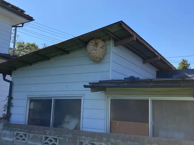 防除作業監督者がいる当店におまかせください！最短当日対応可能です！サービスの画像