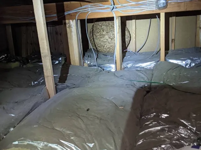 防除作業監督者がいる当店におまかせください！最短当日対応可能です！サービスの画像