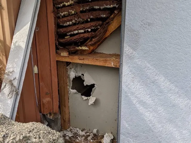 防除作業監督者がいる当店におまかせください！最短当日対応可能です！サービスの画像