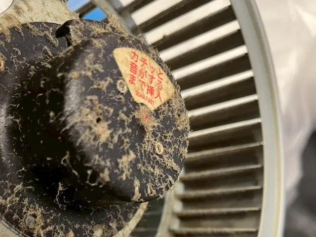 【キッチン＋換気扇】徹底洗浄！セットがお得◎サービスの画像