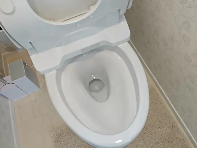 除菌仕上げで安心空間！トイレをキレイに整えましょう！サービスの画像