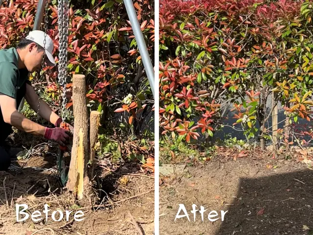 【10%割引中！】地域密着で年間300件以上の実績！お庭の伐採はお任せ下さい！サービスの画像