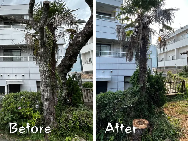 【10%割引中！】地域密着で年間300件以上の実績！お庭の伐採はお任せ下さい！サービスの画像